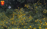 Giới trẻ 